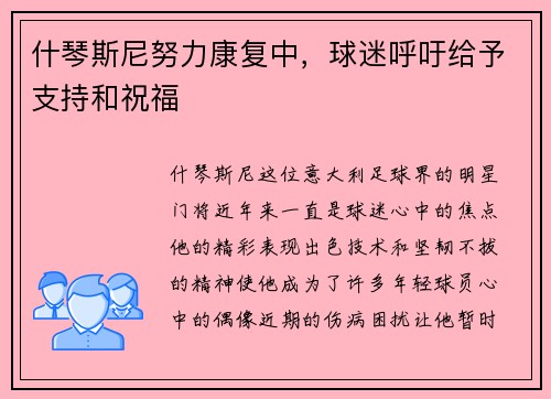 什琴斯尼努力康复中，球迷呼吁给予支持和祝福